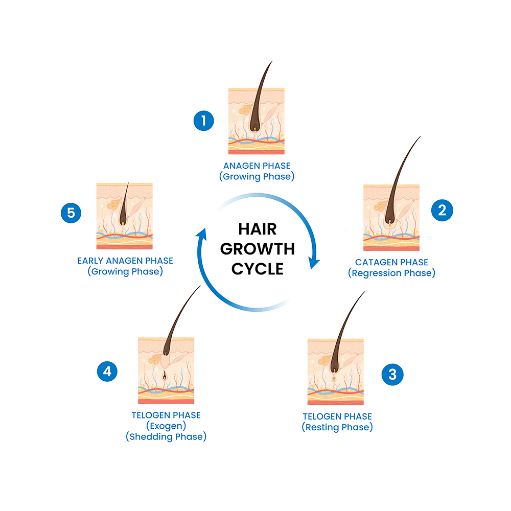 Minoxidil Hair Growth Topical Solution 5% | Scalp Application for Hair Growth (60ml Each) | by Tata 1mg