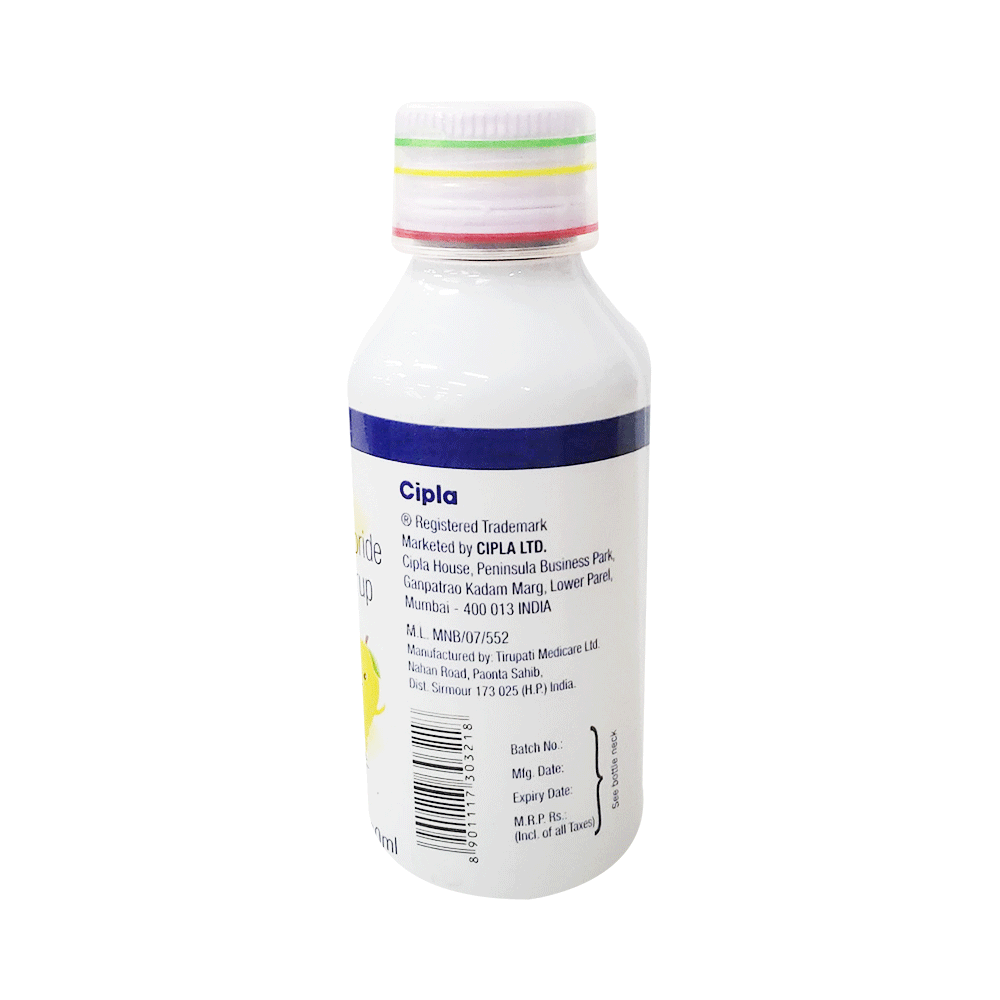 Cheston LS Syrup Junior Mango Sugar Free