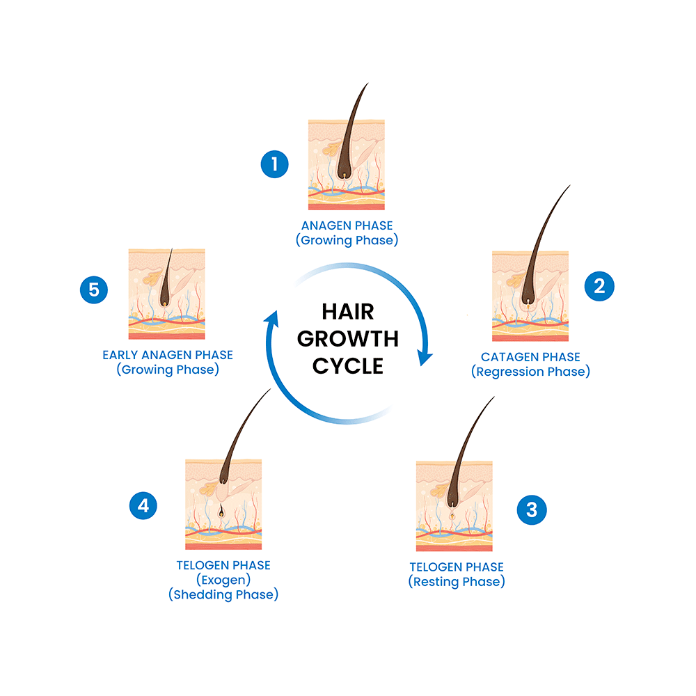 Minoxidil Hair Growth Topical Solution 2% | Scalp Application for Hair Growth | by Tata 1mg